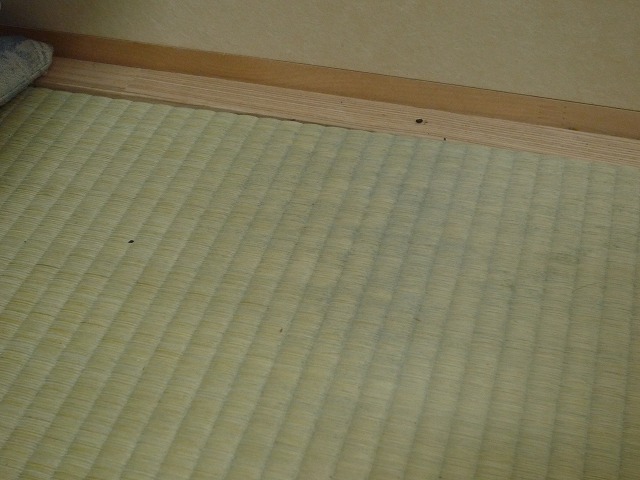 畳ベッドのカビ